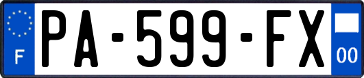 PA-599-FX