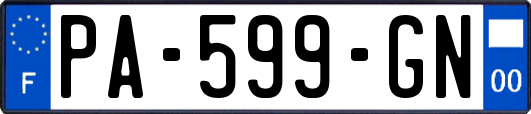 PA-599-GN