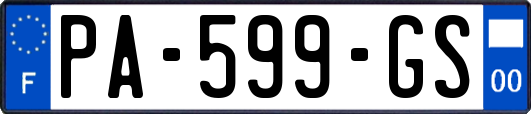 PA-599-GS