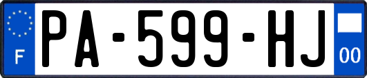 PA-599-HJ