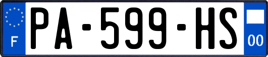 PA-599-HS