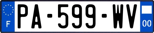 PA-599-WV
