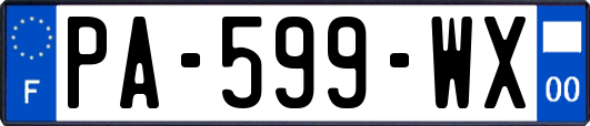 PA-599-WX