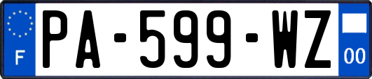 PA-599-WZ