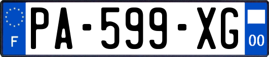 PA-599-XG