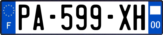 PA-599-XH