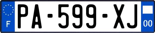 PA-599-XJ