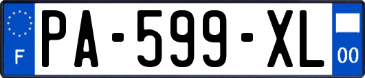 PA-599-XL