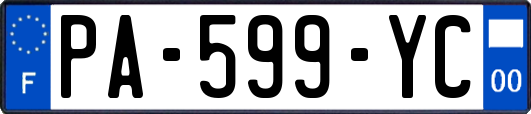 PA-599-YC