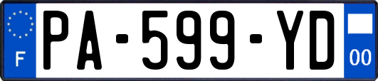 PA-599-YD
