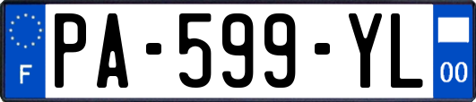 PA-599-YL