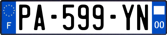PA-599-YN