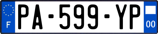 PA-599-YP