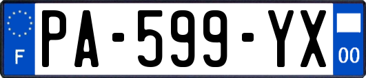 PA-599-YX