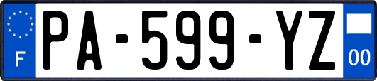 PA-599-YZ