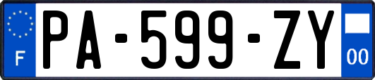 PA-599-ZY