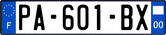 PA-601-BX