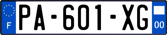 PA-601-XG