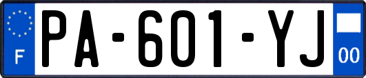 PA-601-YJ