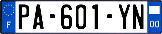 PA-601-YN