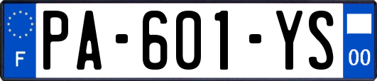 PA-601-YS