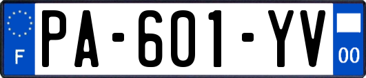 PA-601-YV