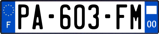 PA-603-FM
