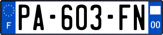 PA-603-FN