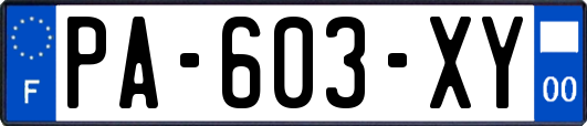 PA-603-XY