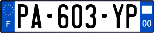 PA-603-YP
