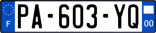 PA-603-YQ