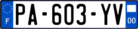 PA-603-YV
