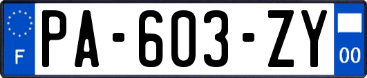 PA-603-ZY