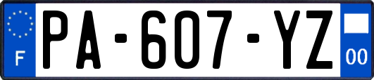 PA-607-YZ