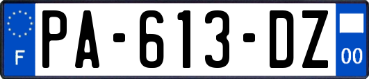PA-613-DZ
