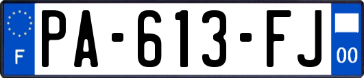PA-613-FJ