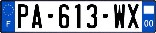 PA-613-WX