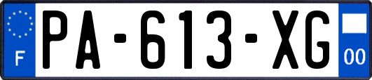 PA-613-XG