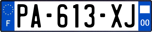 PA-613-XJ