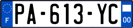 PA-613-YC