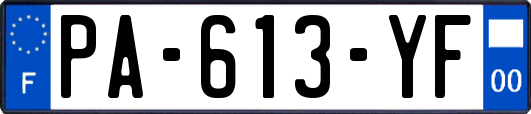 PA-613-YF