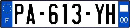 PA-613-YH