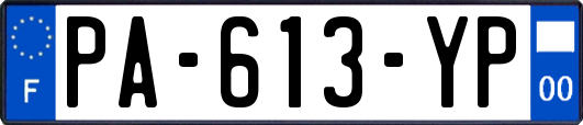 PA-613-YP