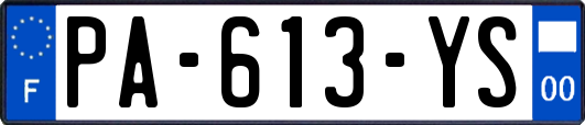 PA-613-YS