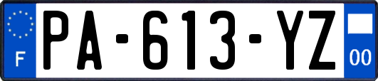 PA-613-YZ