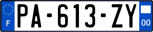 PA-613-ZY
