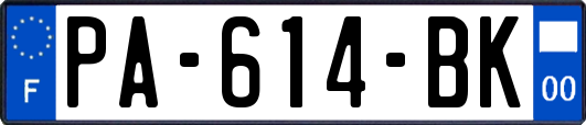 PA-614-BK