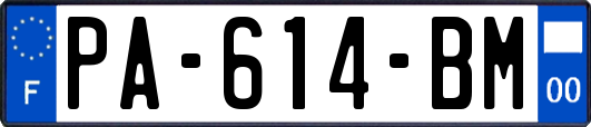 PA-614-BM