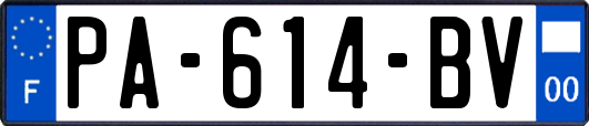 PA-614-BV