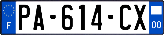 PA-614-CX